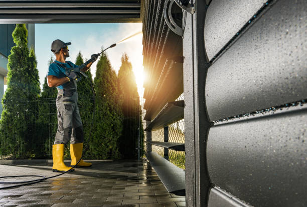 Best Driveway Pressure Washing  in Damascus, MD